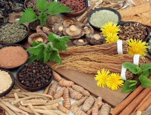 Harnessing Nature’s Power: The Role of Adaptogen Herbs in Weight Loss and Stress Reduction